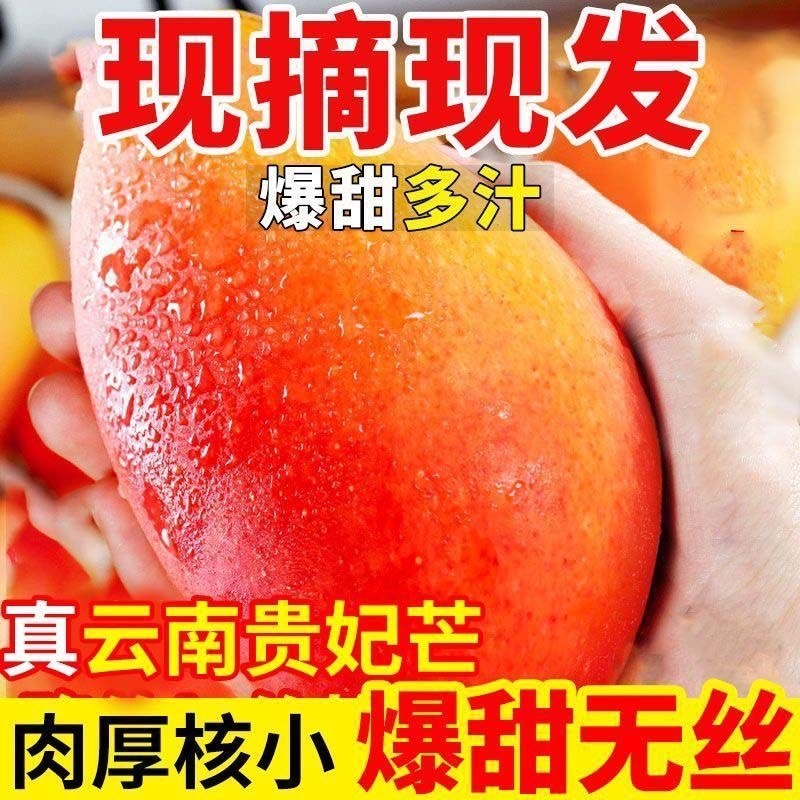 云南保山贵妃芒果，产区直供，现摘现发