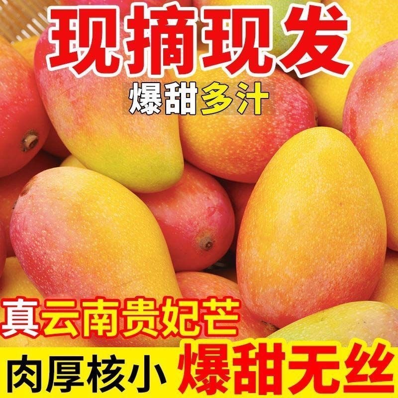 云南保山贵妃芒果，产区直供，现摘现发