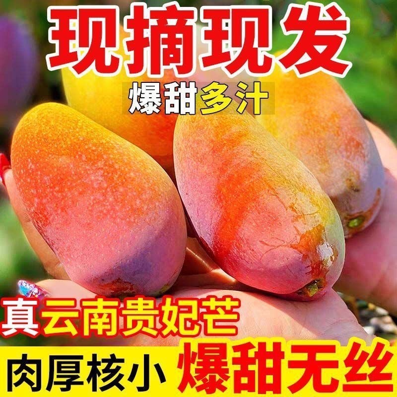 云南保山贵妃芒果，产区直供，现摘现发