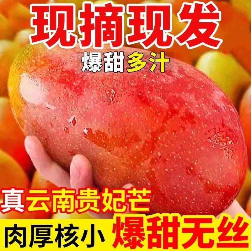 云南保山贵妃芒果，产区直供，现摘现发