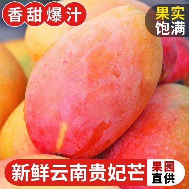 云南保山贵妃芒果，产区直供，现摘现发