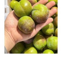 半边红.五月脆李子