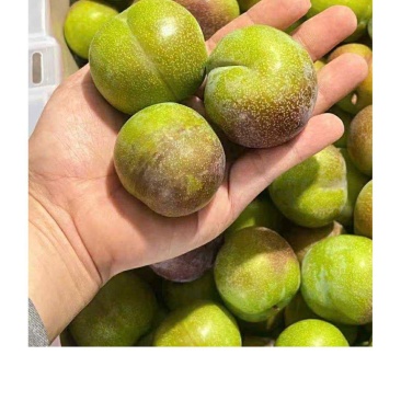 半边红五月脆李子