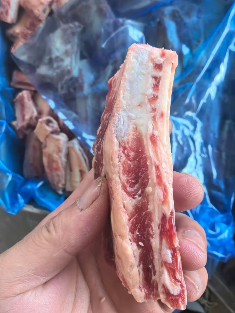 牛肋排段