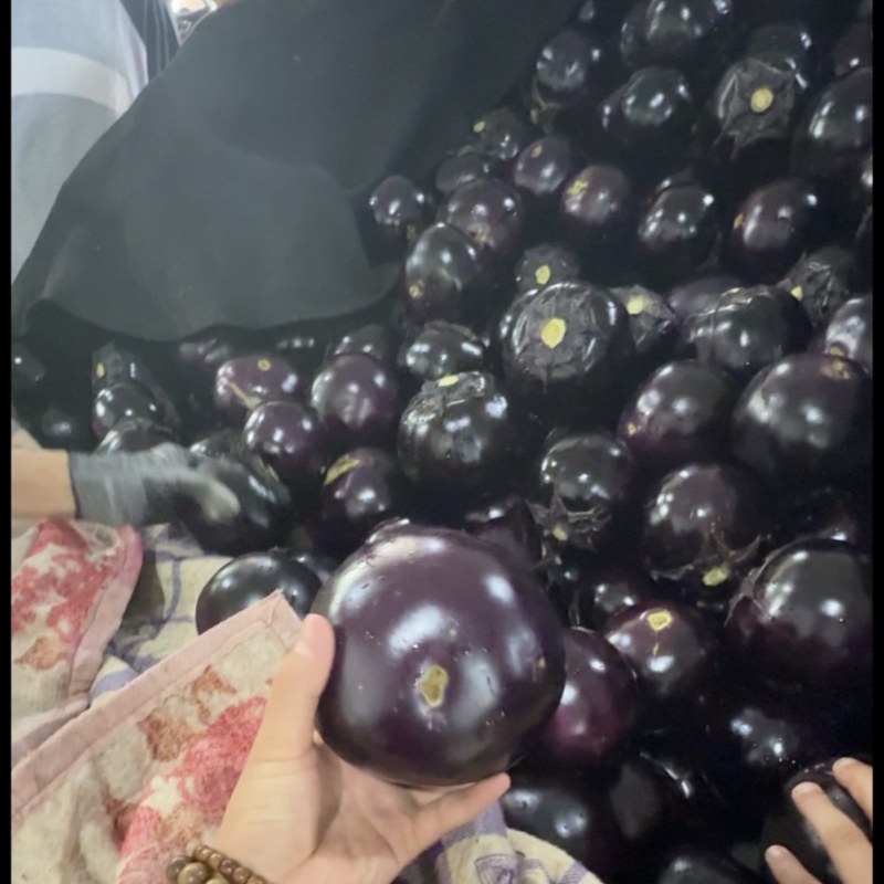 山东莘县紫光圆茄便宜了