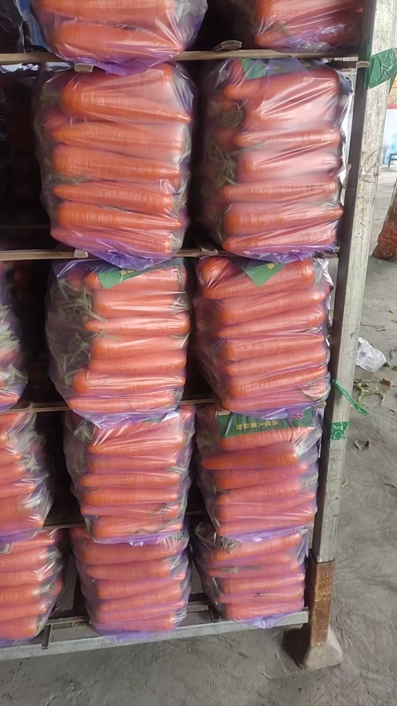 水洗胡萝卜对接全国市场电商可视频看货精品胡萝卜