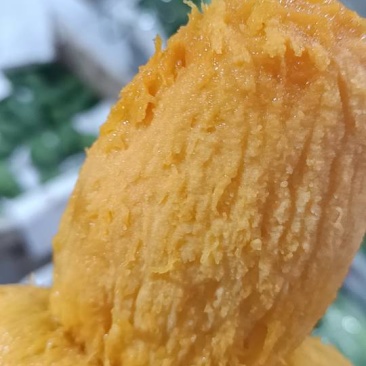 攀枝花椰香芒