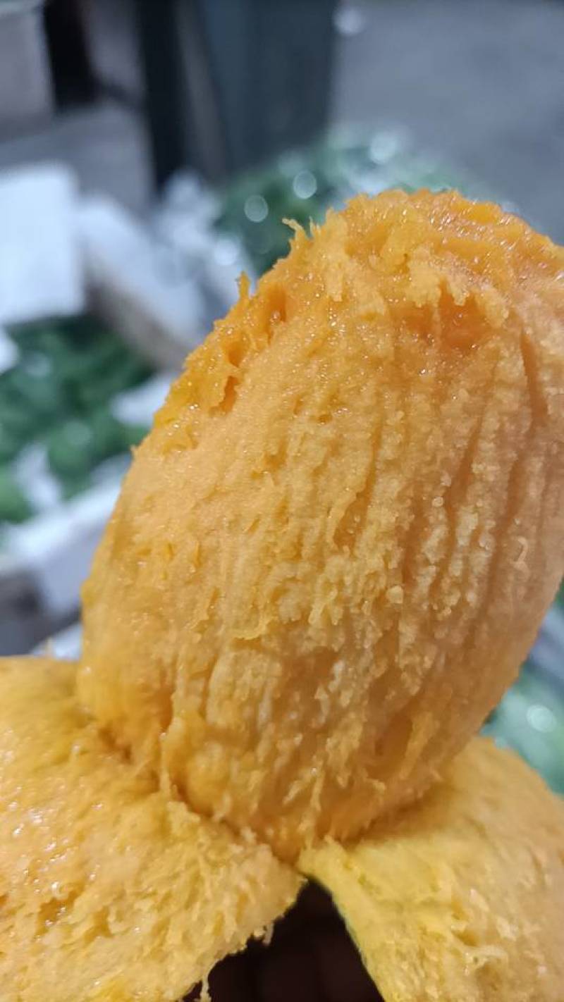 攀枝花椰香芒