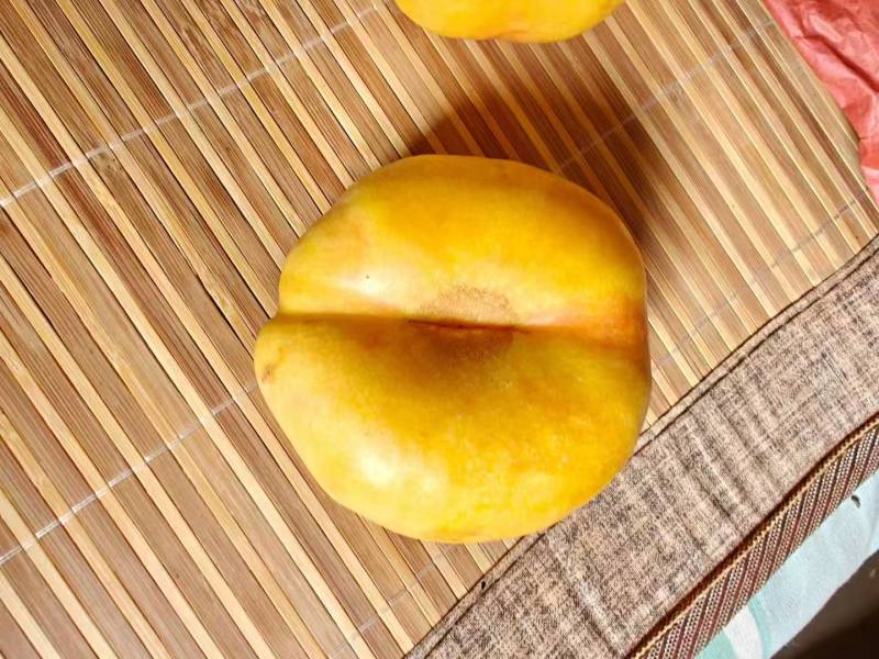 【精品】河北油蟠桃产地直发/质量为先服务周到/饶阳油蟠桃