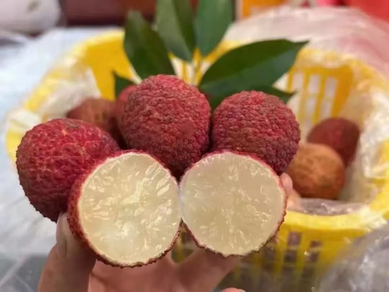 广西灵山无核荔枝精品大果30-50g支持一件代发