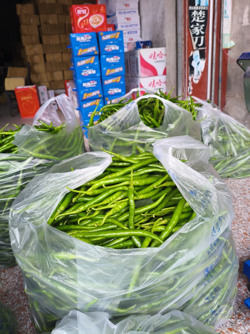 二荆条，四川辣椒，辣椒，二荆条红辣椒，产地直发