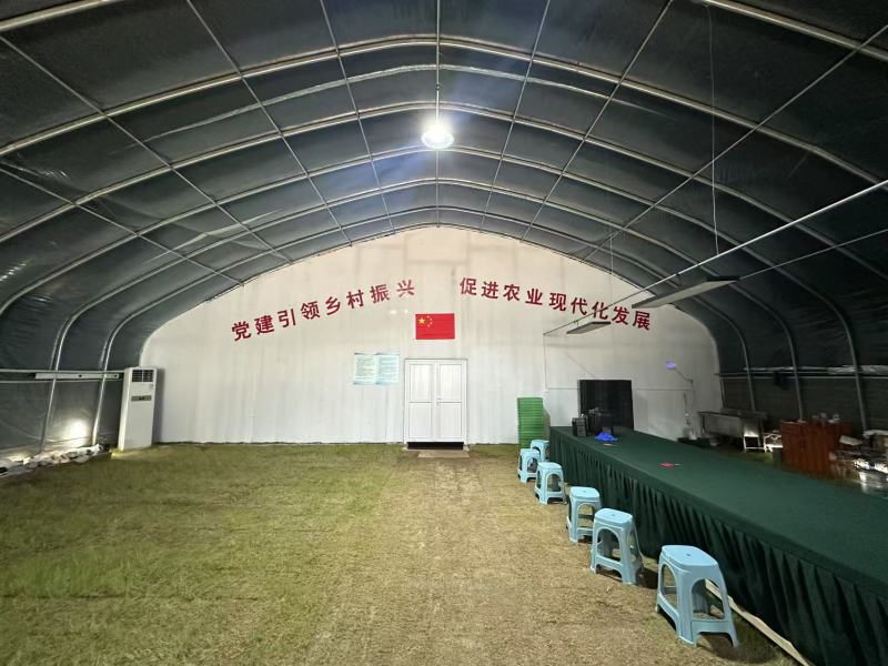 花生芽万寿果芽健康食品芽苗菜轻食减肥涮火锅