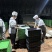 花生芽万寿果芽健康食品芽苗菜轻食减肥涮火锅