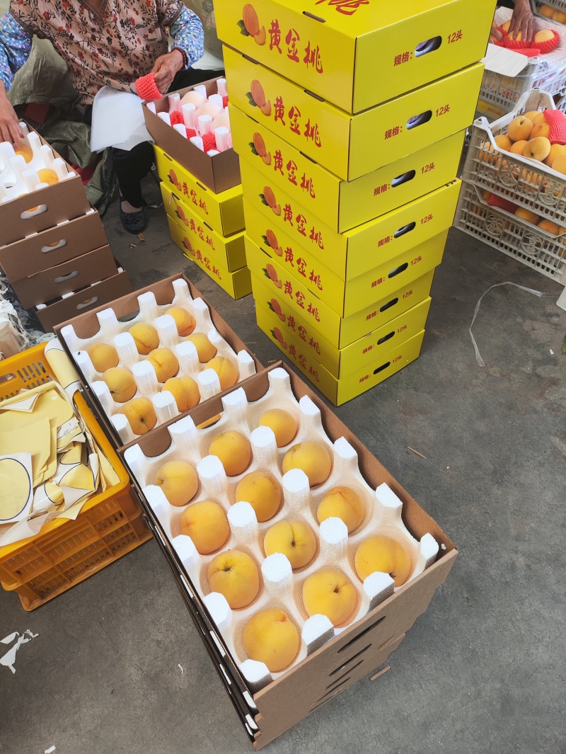 蜜桃蟠桃系列青州蜜冬桃油桃专业代办电商蒙阴6