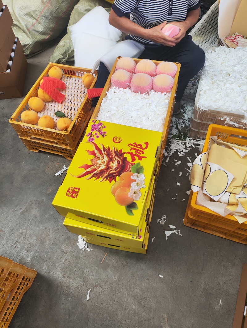 蜜桃蟠桃系列青州蜜冬桃油桃专业代办电商蒙阴6
