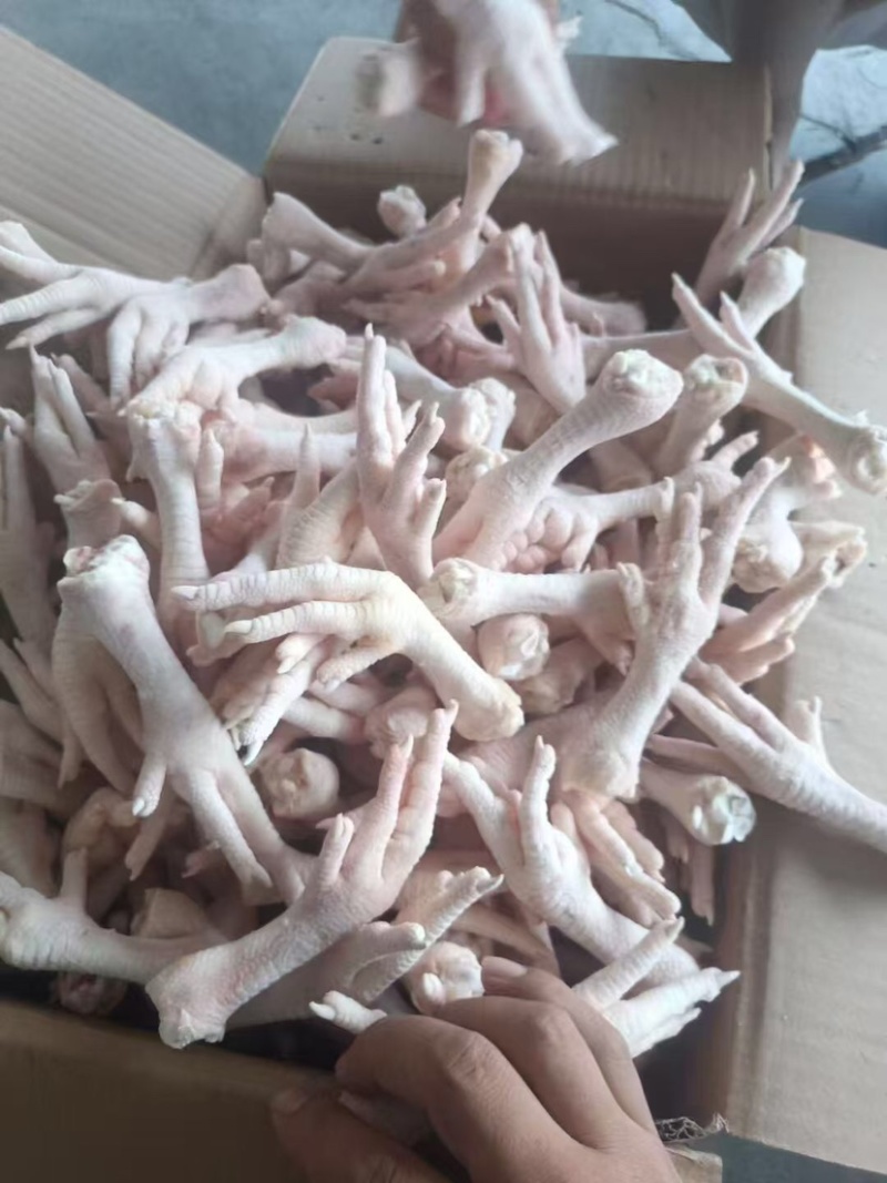 东北多种规格鸡爪，单冻板冻，量大从优，欢迎咨询