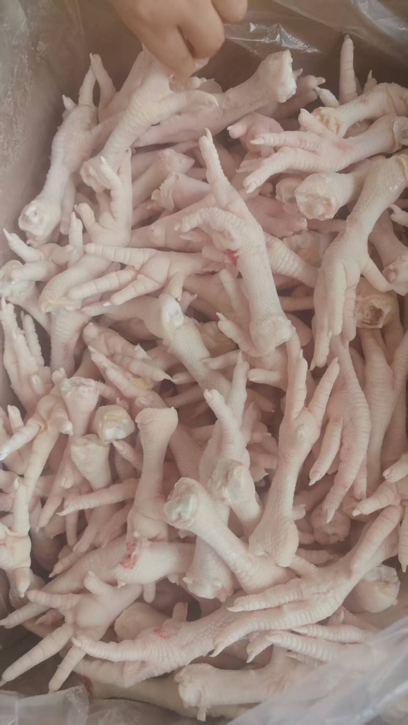 东北多种规格鸡爪，单冻板冻，量大从优，欢迎咨询