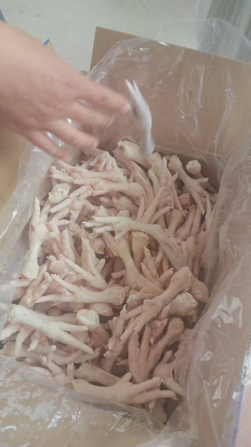 东北多种规格鸡爪，单冻板冻，量大从优，欢迎咨询