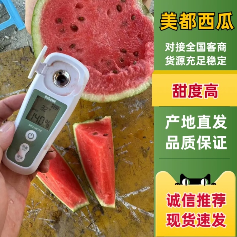 淮南精品美都西瓜露天西瓜麒麟西瓜脆甜多汁糖度高大棚美都