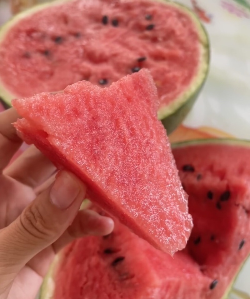淮南精品美都西瓜露天西瓜麒麟西瓜脆甜多汁糖度高大棚美都