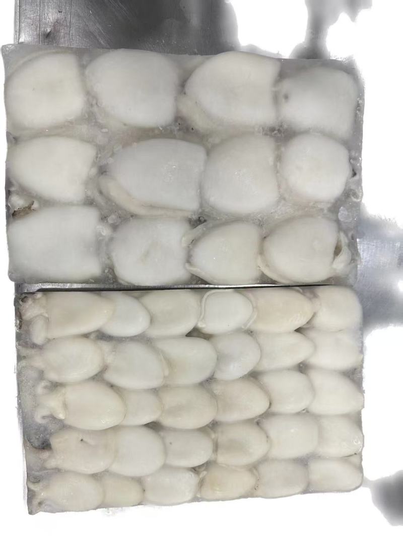 冷冻墨鱼仔（原料级）规格：10～20，10以上