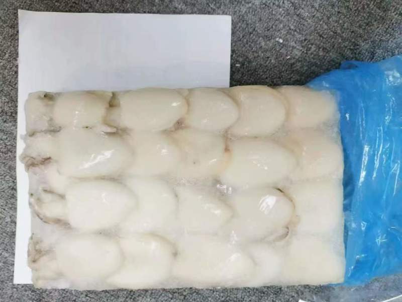 冷冻墨鱼仔（原料级）规格：10～20，10以上