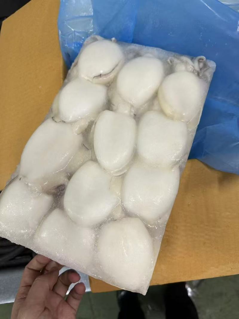 冷冻墨鱼仔（原料级）规格：10～20，10以上