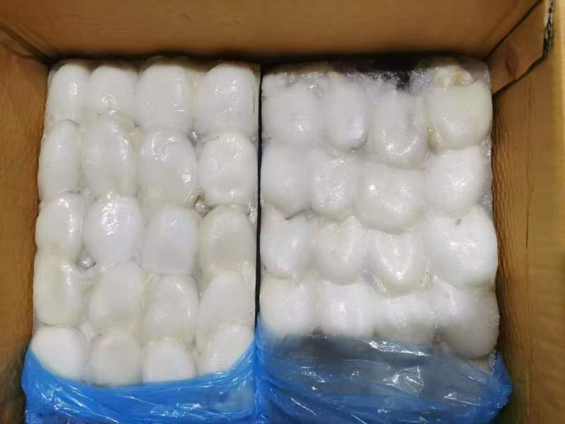 冷冻墨鱼仔（原料级）规格：10～20，10以上