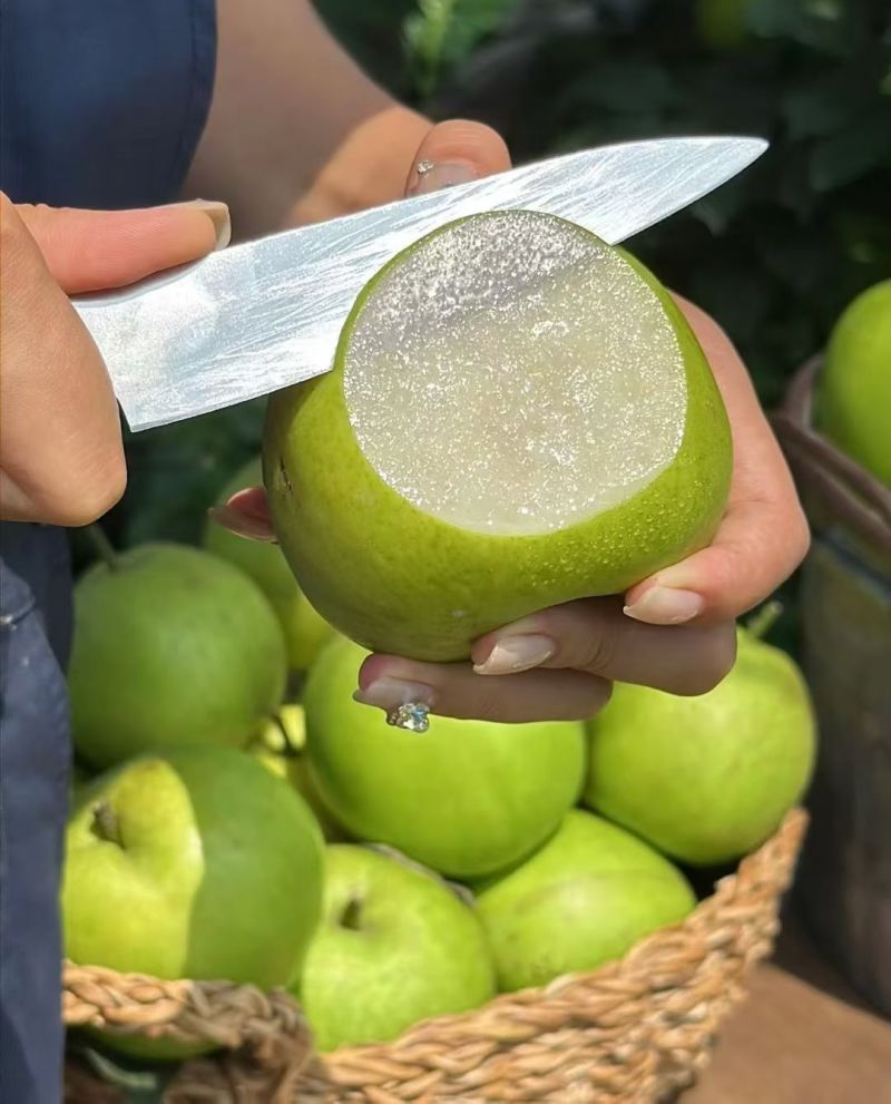 酥脆，翠玉，翠冠梨，圆黄产地一手货源