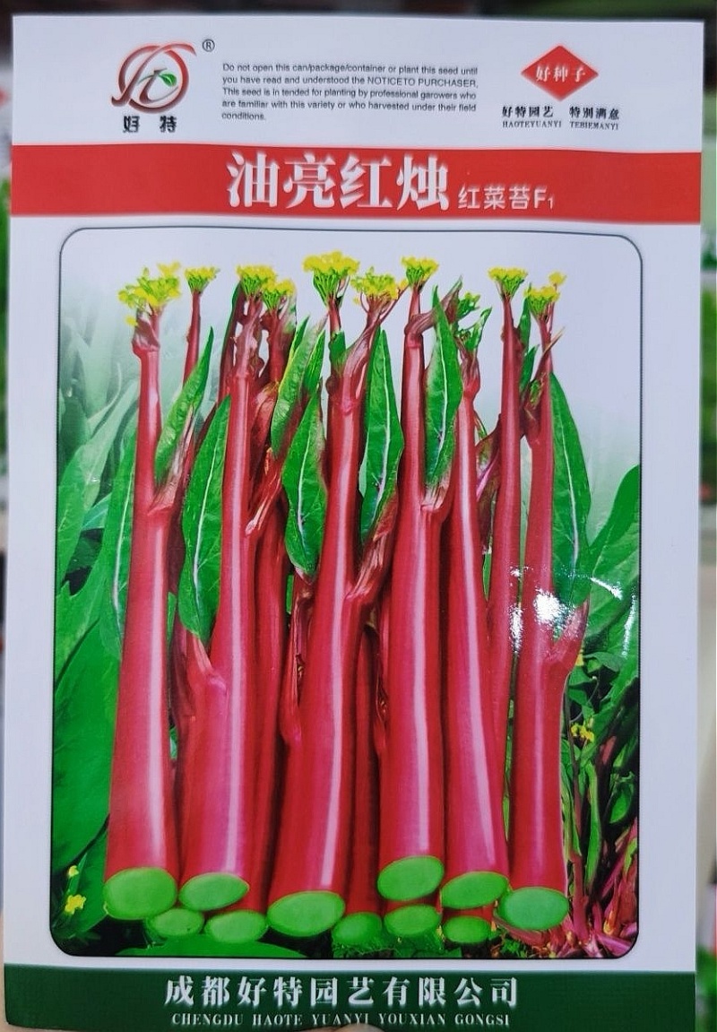 红菜苔种子油亮红烛优质菜苔种子小叶粗苔脆甜发苔多多