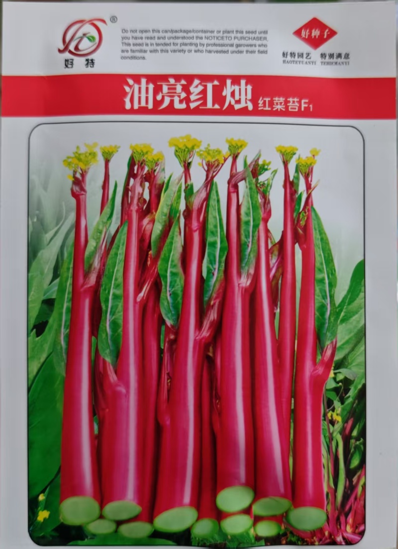 红菜苔种子油亮红烛优质菜苔种子小叶粗苔脆甜发苔多多