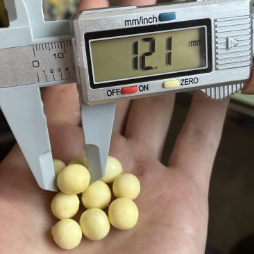 苏州鸡头米手剥新鲜的不得了！