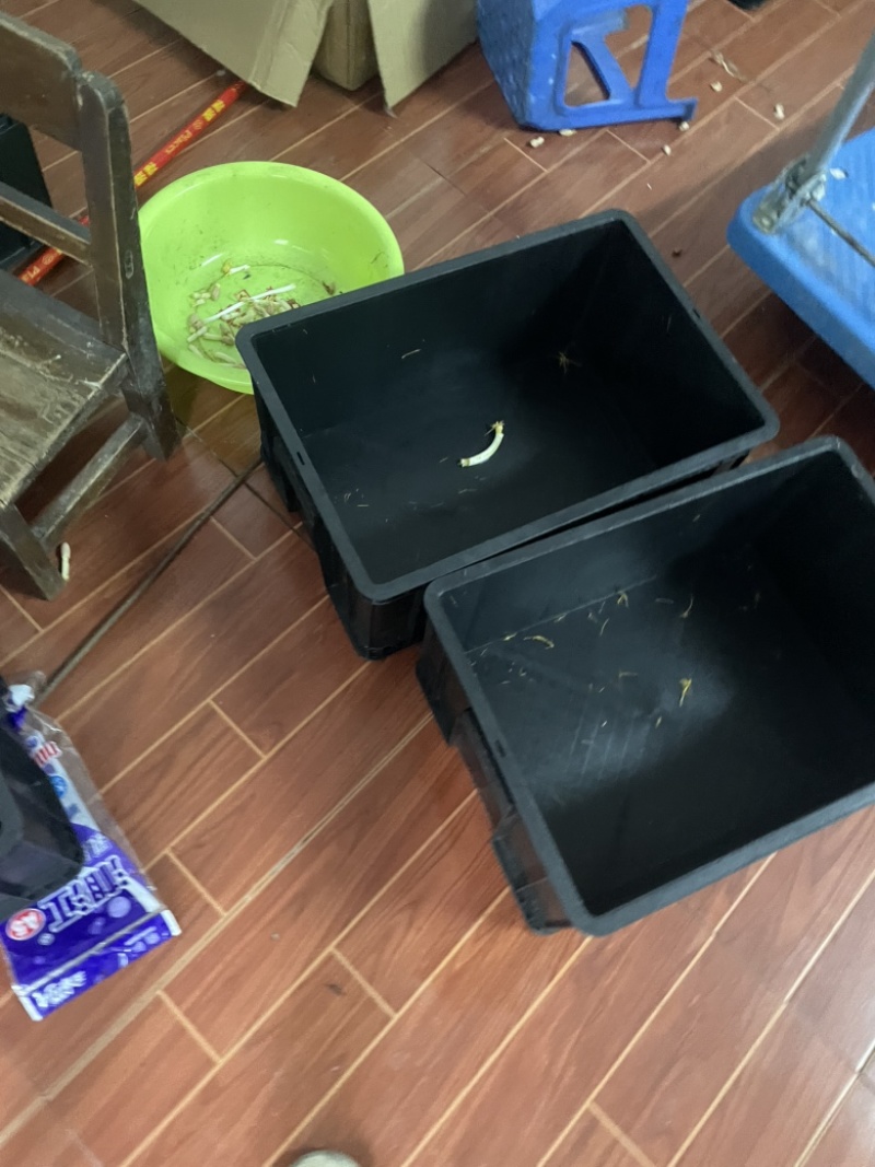 水培箱