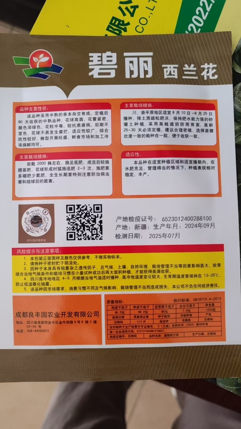 耐寒西蓝花种子西兰花种子低温不变色正宗蘑菇状打冷不变色