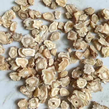 安国北沙参选片，产地直销，无硫精品，货源充足，欢迎下单