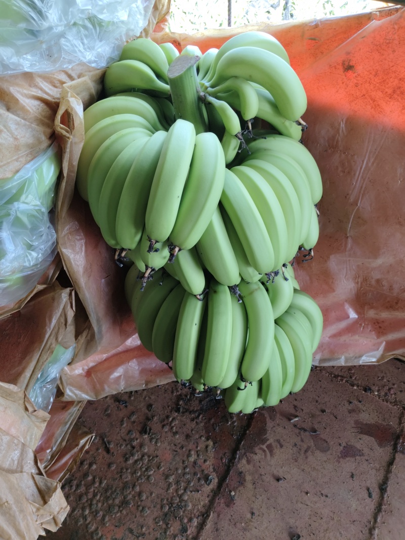 平果焦香蕉
