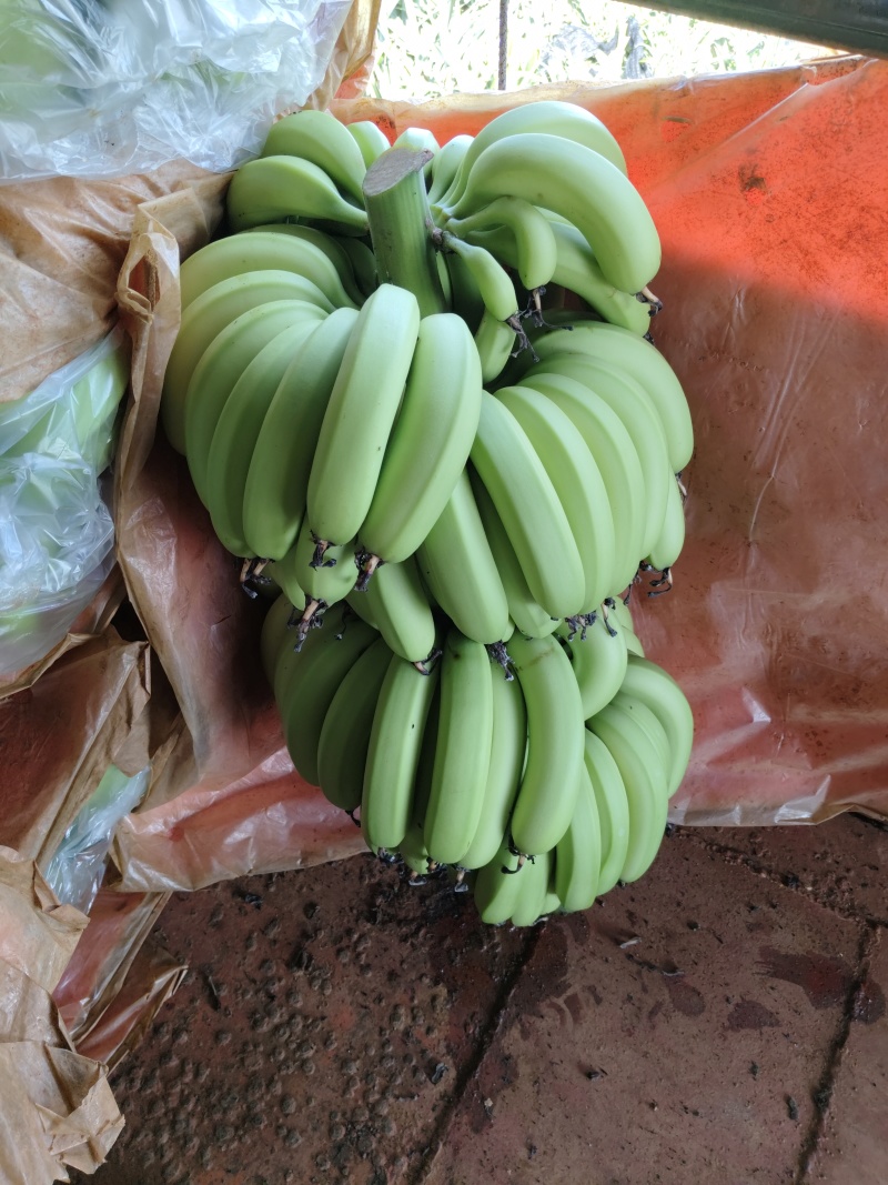 平果焦香蕉
