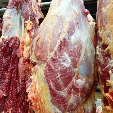 牛肉牛副产品规格齐全大量有货持续稳定供应，欢迎来电
