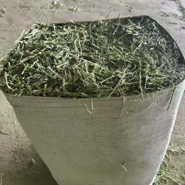 甘肃河西走廊高蛋白苜蓿草，甘肃山丹军马场高糖B型燕麦草