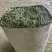 甘肃河西走廊高蛋白苜蓿草，甘肃山丹军马场高糖B型燕麦草