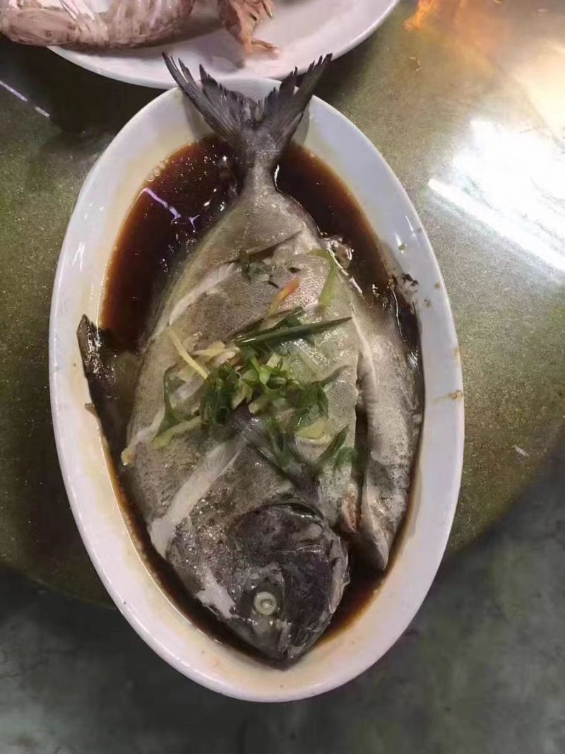 深海黑鲳鱼