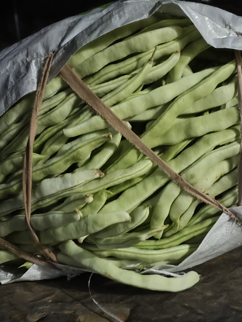 白优衣豆角大量上市