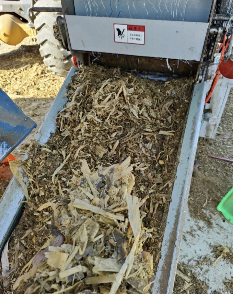 牛羊草料，黄贮黄储，2025年一次性打包黄储，品质保证！