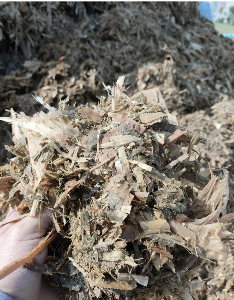 牛羊草料，黄贮黄储，2025年一次性打包黄储，品质保证！
