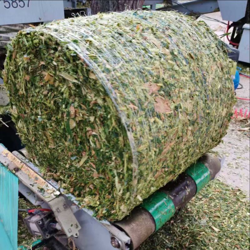 牛羊草料，黄贮黄储，2025年一次性打包黄储，品质保证！