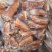 【卤味】全熟卤猪尾巴短根卤菜熟食批发商用包装餐饮