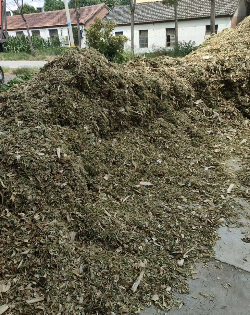 黄储青储黄贮大量有货，保证质量支持视频