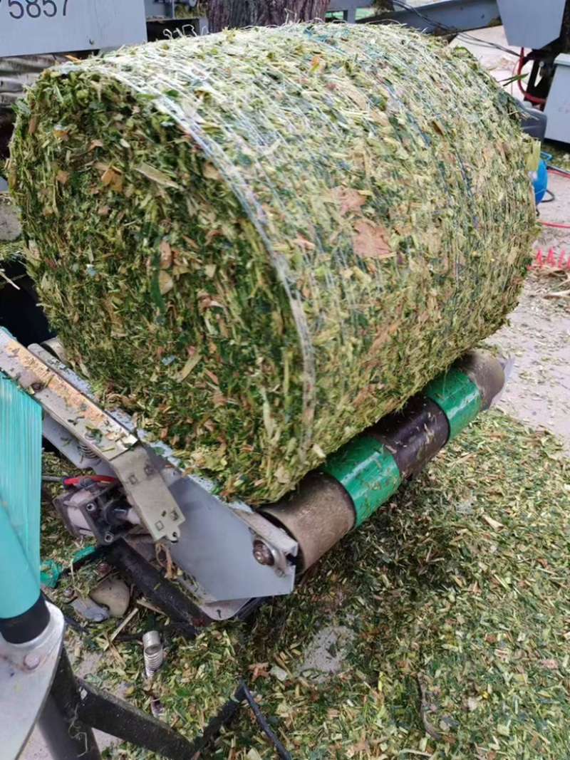 黄储青储黄贮大量有货，保证质量支持视频