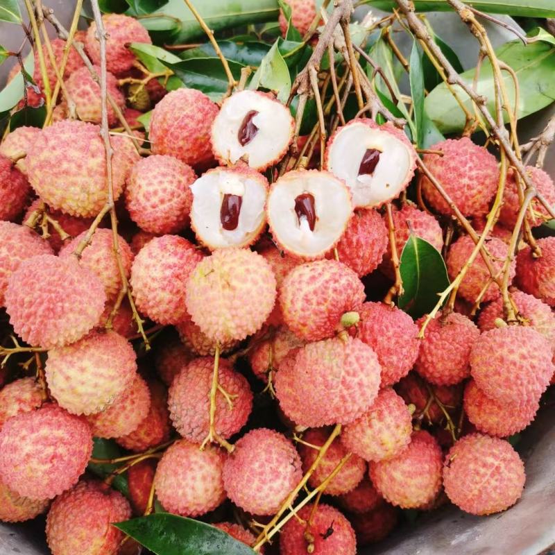 禾荔，桂味