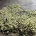 福清茉莉花朵